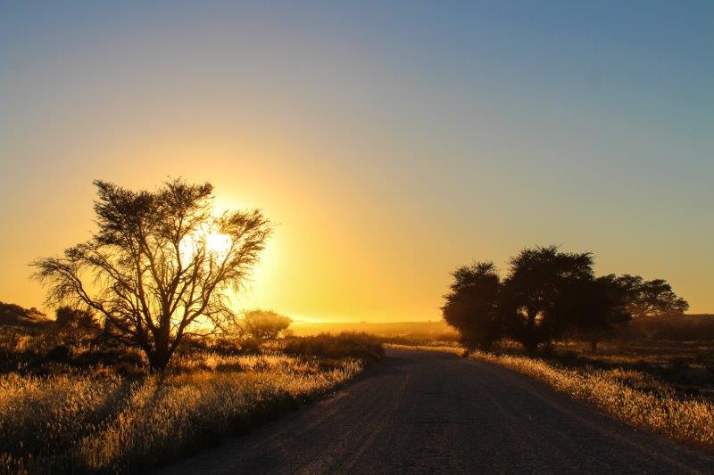 Sunrise Kgalagadi