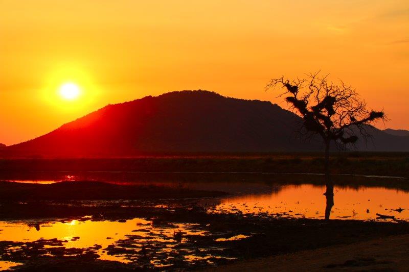 Madikwe is amazing for sunsets!