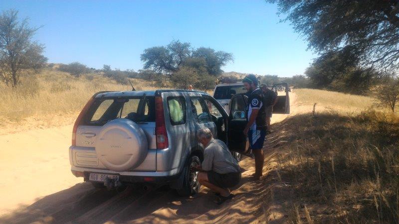 Stuck in Kgalagadi