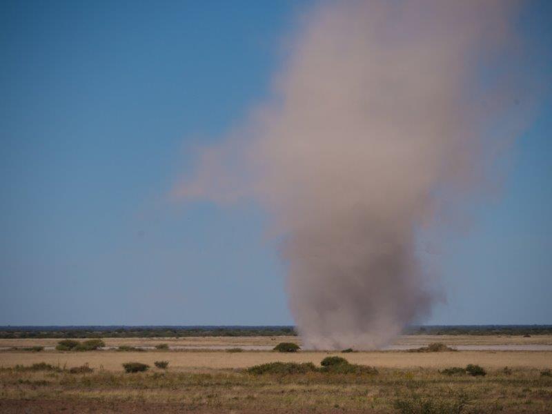 Tornado looking thing