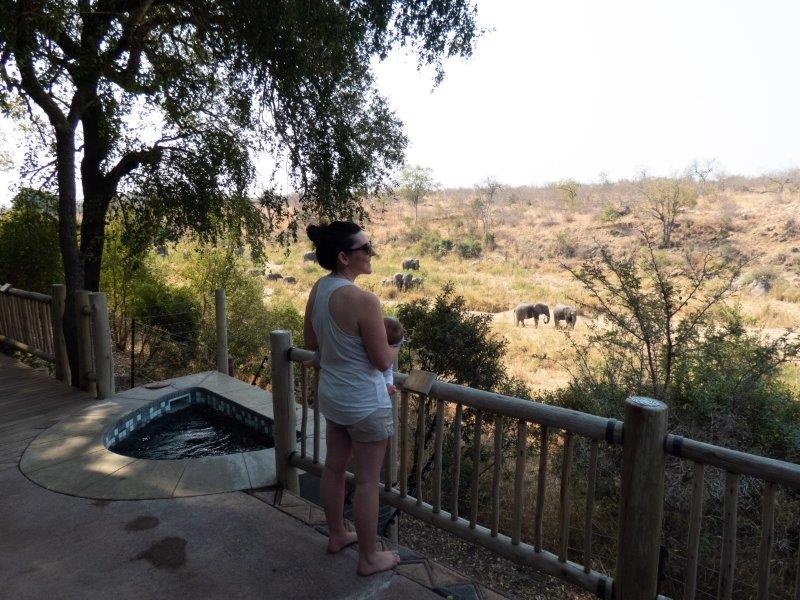 Breastfeeding while watching elephants in riverbed at Fitzpatrick's Safari Lodge