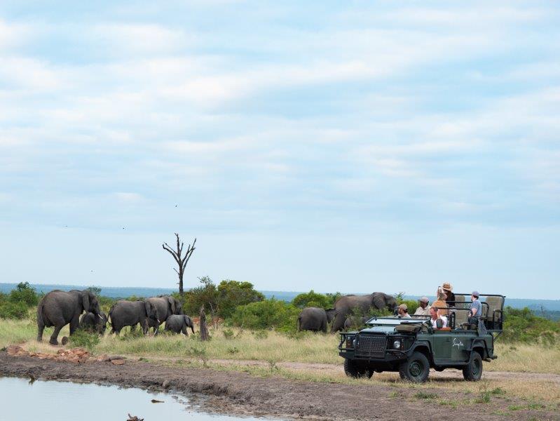 Singita Ebony Lodge vehicle with elephants