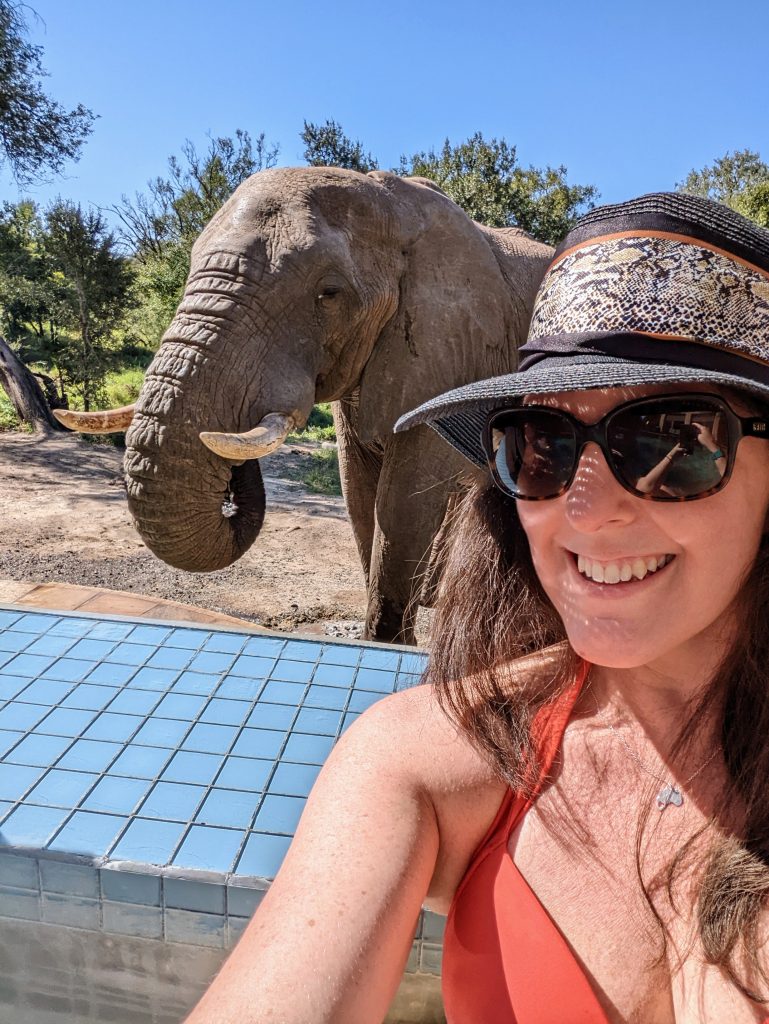 Selfie with elephant at Mantobeni Lodge pool