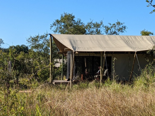 Mantobeni Lodge tent in bush