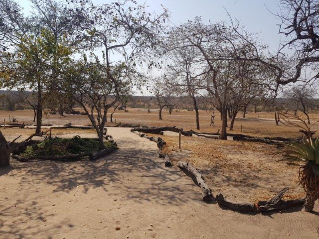 Nkorho room view - waterhole