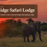Baobab Ridge Safari Lodge Review