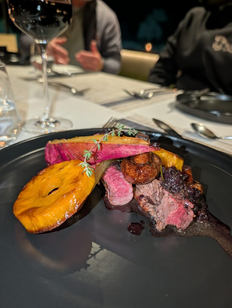 Venison main dish at RockFig Safari Lodge