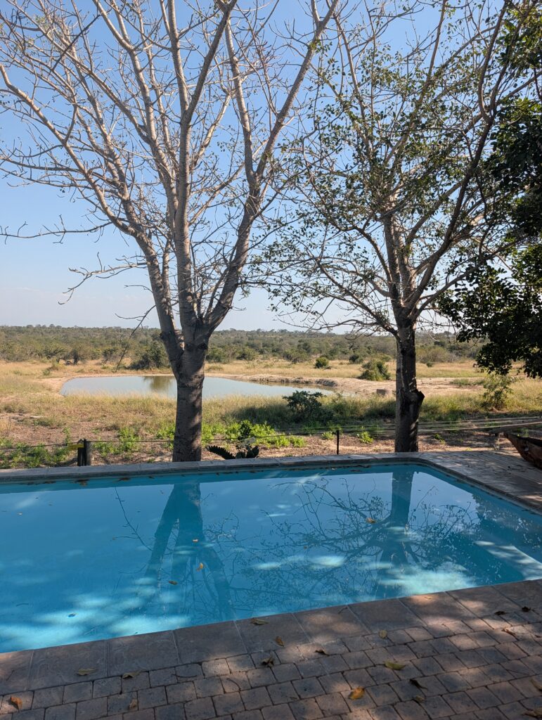 Pool overlooking waterhole at Baobab Ridge