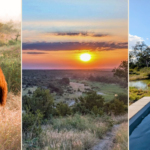 Insider Big 5 Itinerary